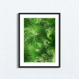 "The Christmas Special" Poster Print